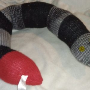 Graham the Grey Black Gradient with Red Banded Giant Snake