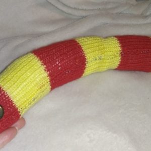 Hannia the Red and Yellow Banded Chunky Short Snake.