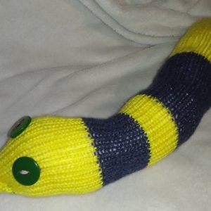 Sunny the Yellow and Navy Banded Chunky Short Snake.
