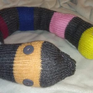 Liquorice the Grey and Multicoloured Banded Giant Snake.
