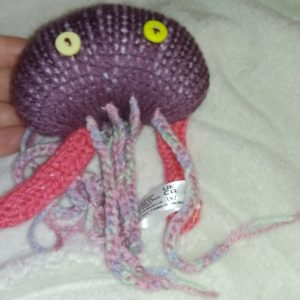 Gari the Dark Plum with Rainbow Feelers Jellyfish
